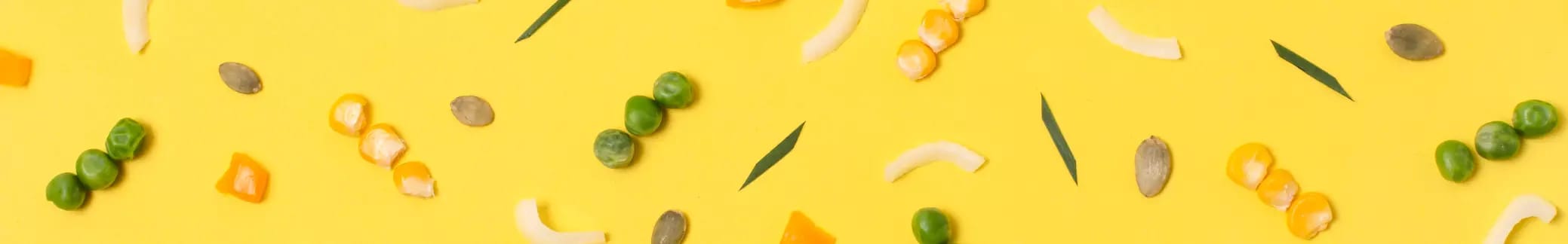 Vorspeisen & Suppen placeholder